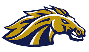 Casteel Colts Basketball